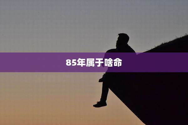 85年属于啥命