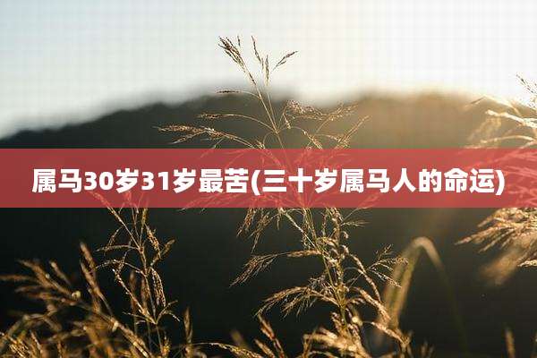 属马30岁31岁最苦(三十岁属马人的命运)
