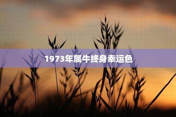 1973年属牛终身幸运色