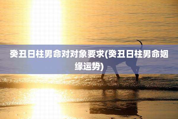 癸丑日柱男命对对象要求(癸丑日柱男命姻缘运势)