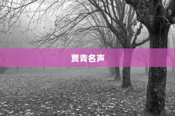 贾青名声