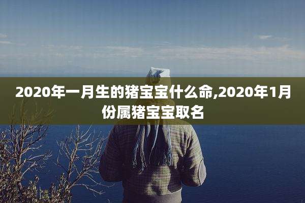 2020年一月生的猪宝宝什么命,2020年1月份属猪宝宝取名
