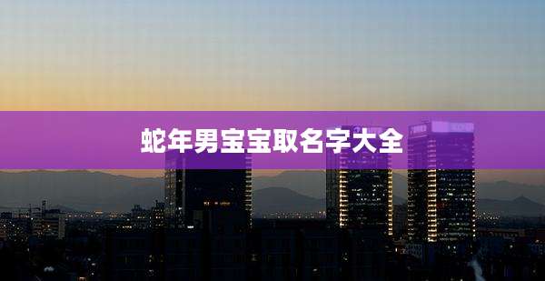 蛇年男宝宝取名字大全