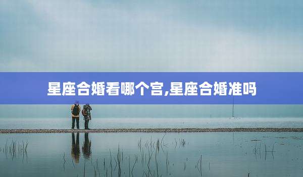 星座合婚看哪个宫,星座合婚准吗