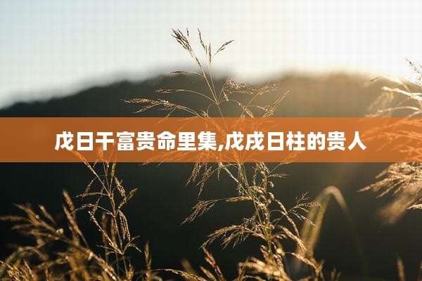 戊日干富贵命里集,戊戌日柱的贵人