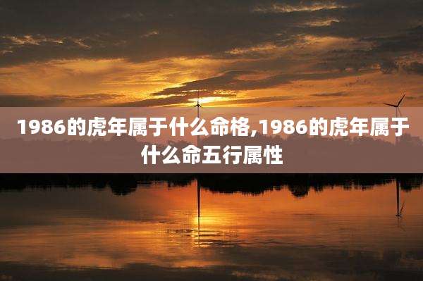 1986的虎年属于什么命格,1986的虎年属于什么命五行属性