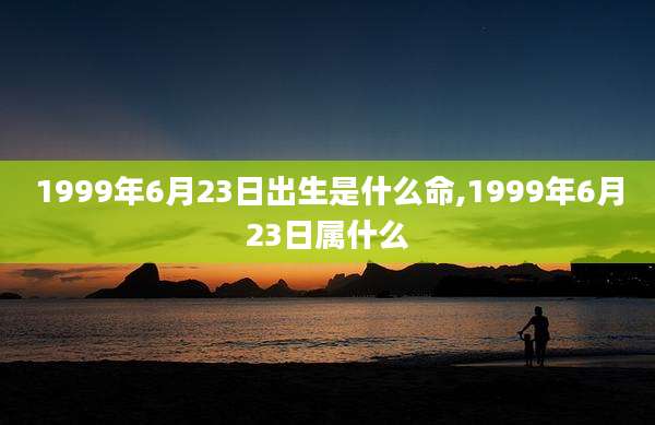 1999年6月23日出生是什么命,1999年6月23日属什么