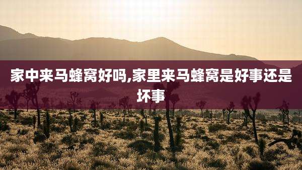家中来马蜂窝好吗,家里来马蜂窝是好事还是坏事