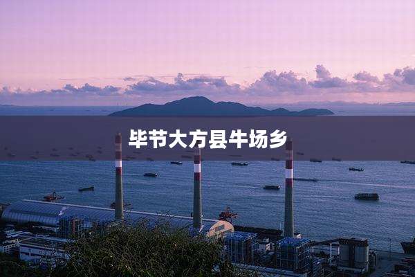 毕节大方县牛场乡