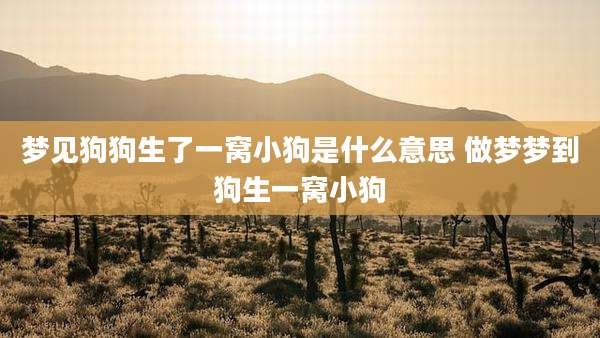梦见狗狗生了一窝小狗是什么意思 做梦梦到狗生一窝小狗