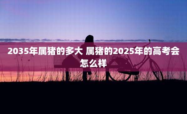 2035年属猪的多大 属猪的2025年的高考会怎么样