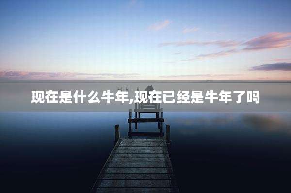 现在是什么牛年,现在已经是牛年了吗