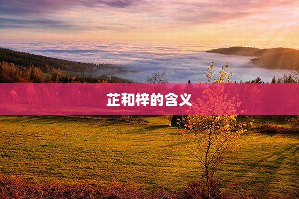 芷和梓的含义