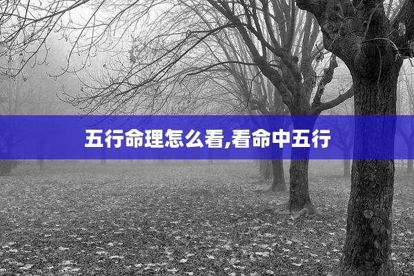 五行命理怎么看,看命中五行