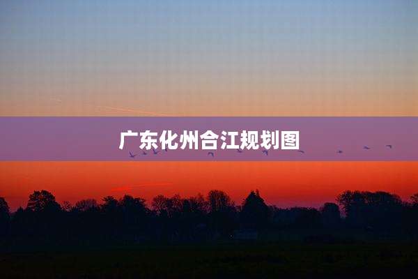 广东化州合江规划图