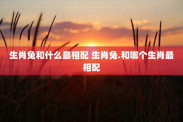 生肖兔和什么最相配 生肖兔.和哪个生肖最相配