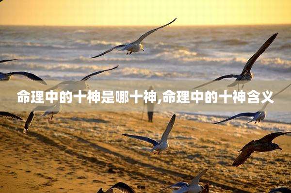 命理中的十神是哪十神,命理中的十神含义
