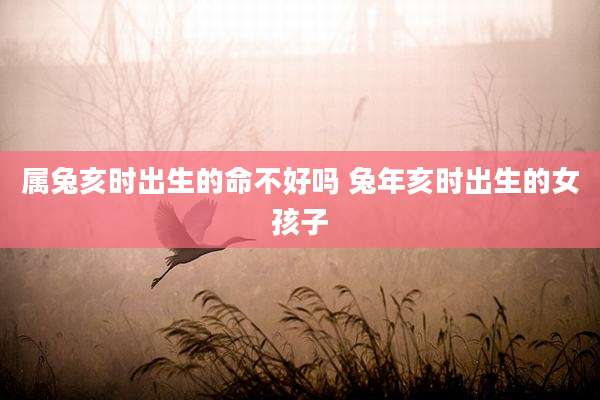 属兔亥时出生的命不好吗 兔年亥时出生的女孩子