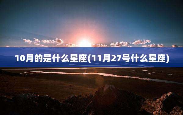 10月的是什么星座(11月27号什么星座)