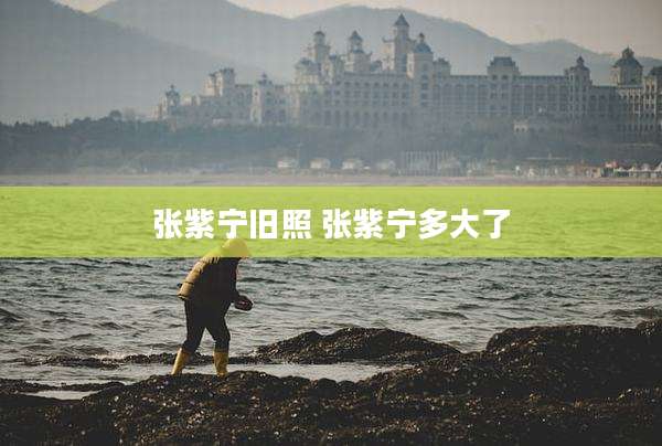 张紫宁旧照 张紫宁多大了