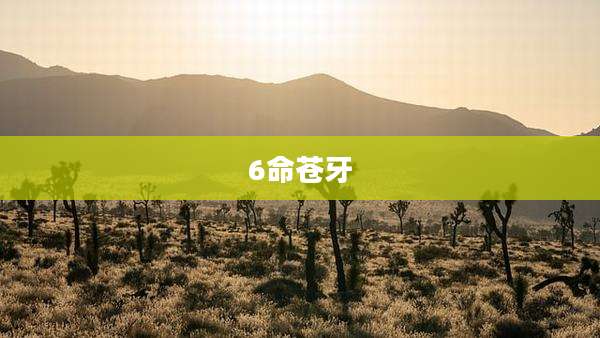6命苍牙