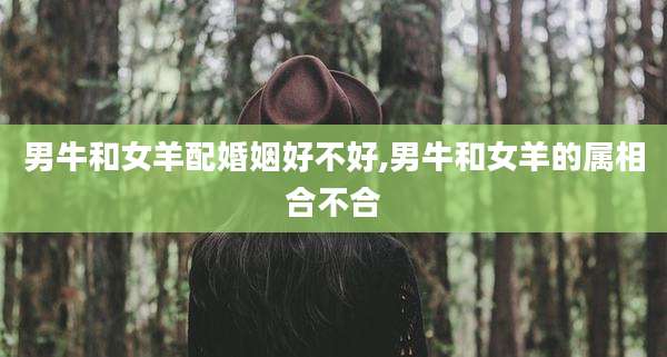 男牛和女羊配婚姻好不好,男牛和女羊的属相合不合