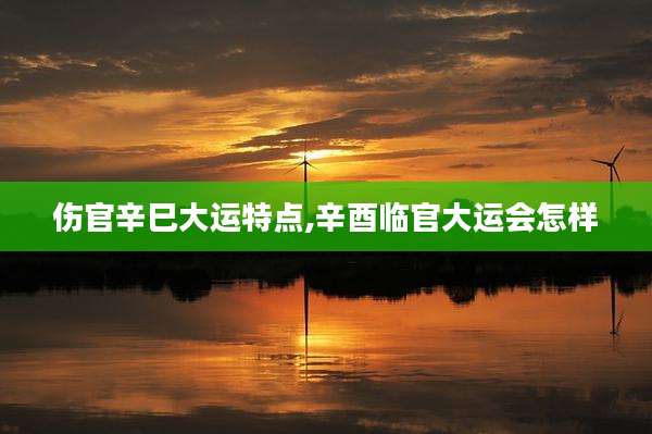 伤官辛巳大运特点,辛酉临官大运会怎样
