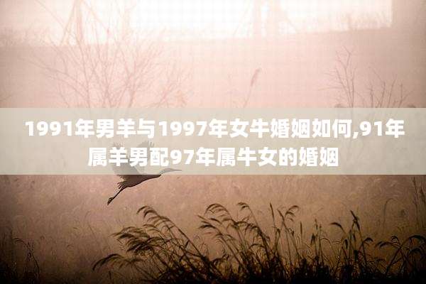 1991年男羊与1997年女牛婚姻如何,91年属羊男配97年属牛女的婚姻