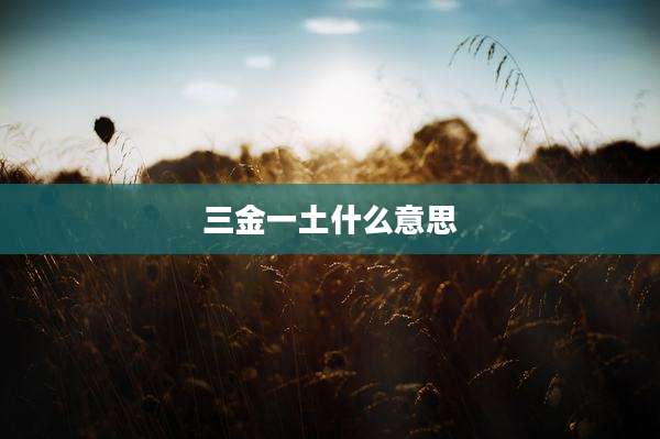 三金一土什么意思