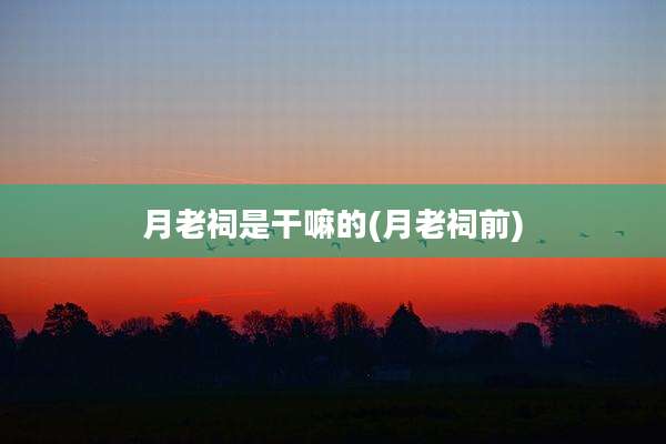 月老祠是干嘛的(月老祠前)