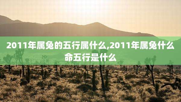2011年属兔的五行属什么,2011年属兔什么命五行是什么