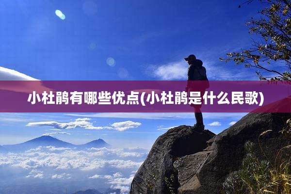 小杜鹃有哪些优点(小杜鹃是什么民歌)