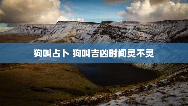 狗叫占卜 狗叫吉凶时间灵不灵