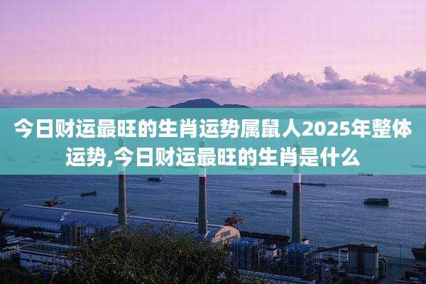 今日财运最旺的生肖运势属鼠人2025年整体运势,今日财运最旺的生肖是什么