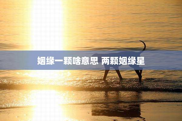 姻缘一颗啥意思 两颗姻缘星