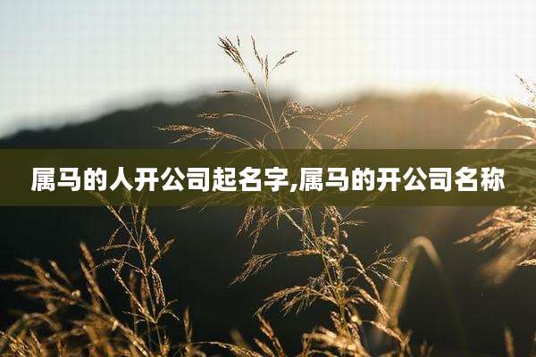 属马的人开公司起名字,属马的开公司名称