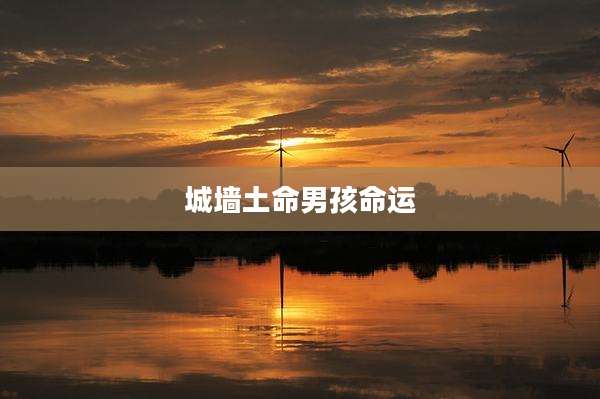 城墙土命男孩命运