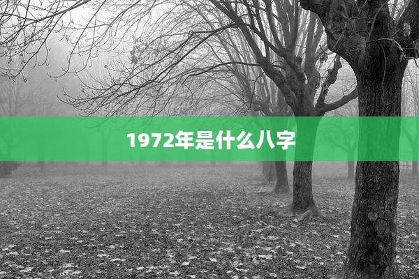1972年是什么八字