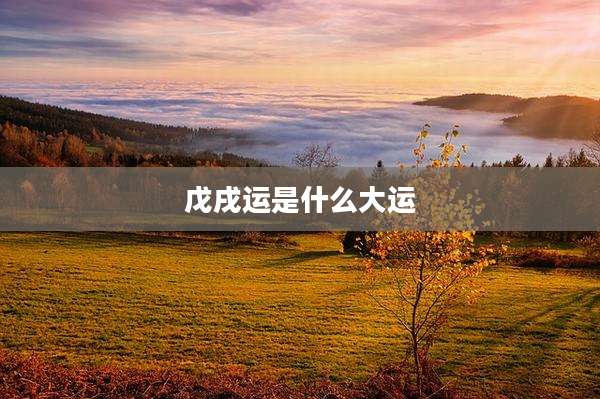 戊戌运是什么大运