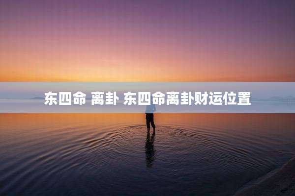 东四命 离卦 东四命离卦财运位置
