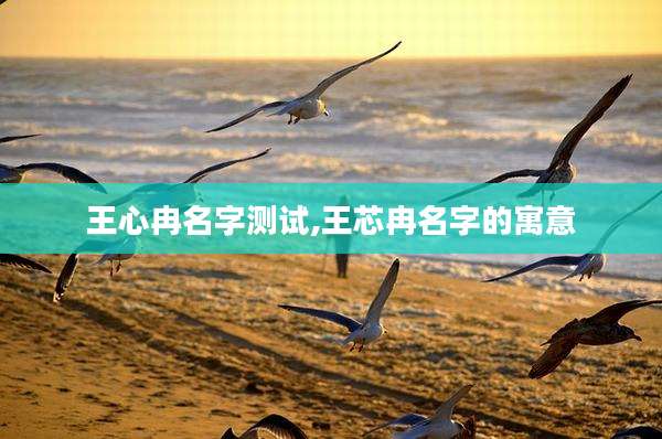 王心冉名字测试,王芯冉名字的寓意
