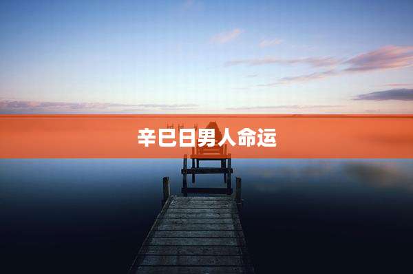 辛巳日男人命运