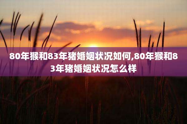 80年猴和83年猪婚姻状况如何,80年猴和83年猪婚姻状况怎么样