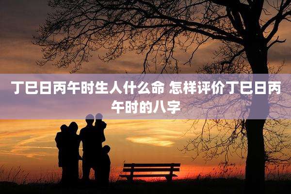 丁巳日丙午时生人什么命 怎样评价丁巳日丙午时的八字