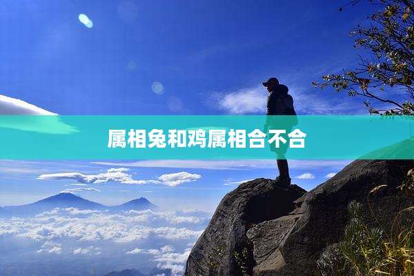属相兔和鸡属相合不合