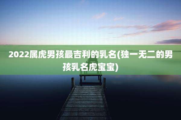 2022属虎男孩最吉利的乳名(独一无二的男孩乳名虎宝宝)