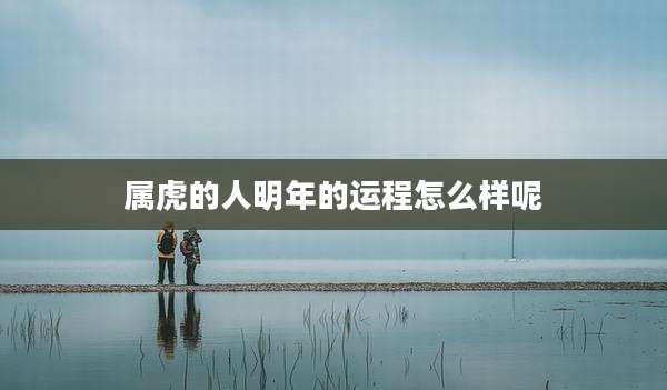 属虎的人明年的运程怎么样呢
