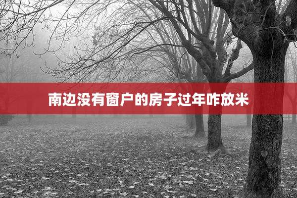 南边没有窗户的房子过年咋放米