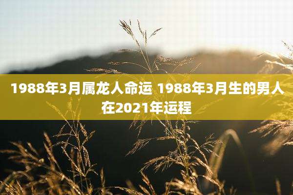 1988年3月属龙人命运 1988年3月生的男人在2021年运程