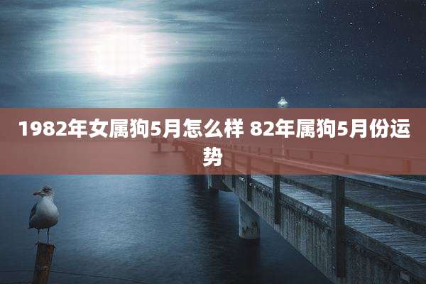 1982年女属狗5月怎么样 82年属狗5月份运势